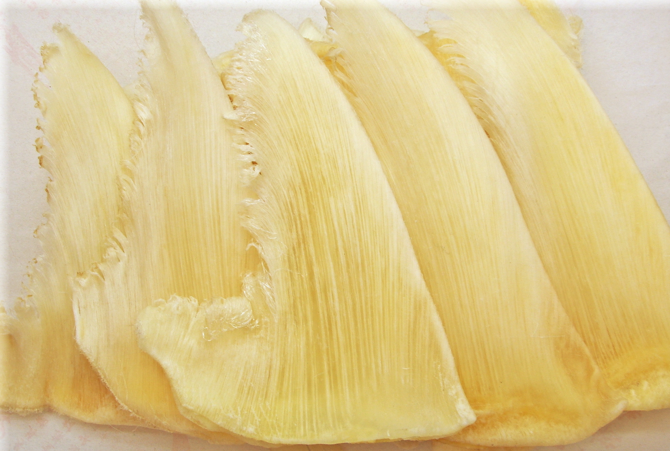 魚翅.jpg